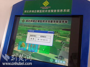 營口市供銷合作社聯合社信息技術咨詢服務 賦能傳統供銷體系數字化轉型